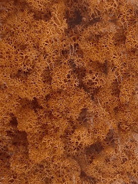Стабилизированный мох Reindeer moss orange (6 windowкоробка = примерно. 0,45 m²)