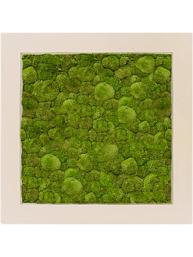 Картина из мха polystone natural 100% ball moss