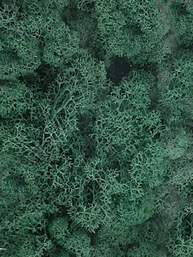 Стабилизированный мох Reindeer moss pacific green (6 windowкоробка = примерно. 0,45 m²)