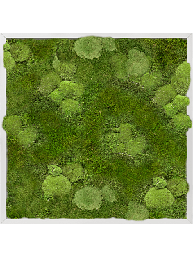 Картина из мха aluminum 30% ball- and 70% flat moss
