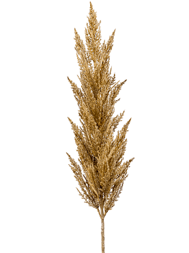 Grass `pampas branch beige