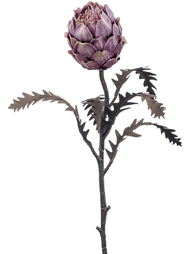 Protea grey / purple
