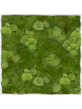 Картина из мха stiel l ral 9010 matt 30% ball- and 70% flat moss