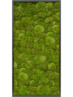 Картина из мха mdf ral 9005 satin gloss 100% ball moss