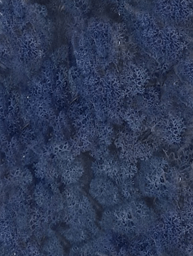 Стабилизированный мох Reindeer moss blue (6 windowкоробка = примерно. 0,45 m²)