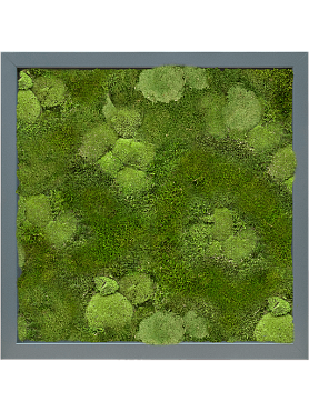 Картина из мха mdf ral 7016 satin gloss 30% ball- and 70% flat moss