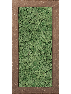 Картина из мха polystone rock 100% reindeer moss (moss green)