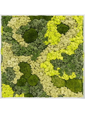 Картина из мха aluminum 30% ball moss 70% reindeer moss (mix)