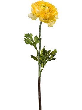 Ranunculus spray 50 cm yellow