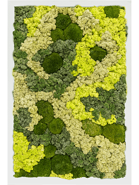 Картина из мха mdf ral 9010 satin gloss 30% ball moss 70% reindeer moss (mix)