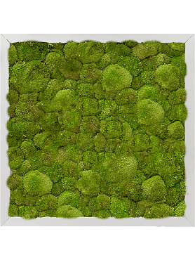 Картина из мха aluminum 100% ball moss