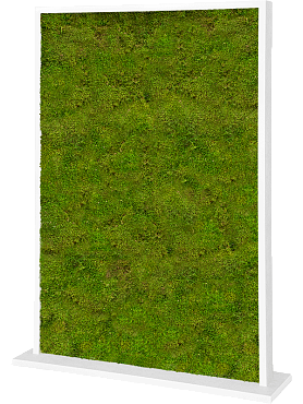 Перегородка из мха mdf ral 9010 satingloss two-sided 100% flat moss