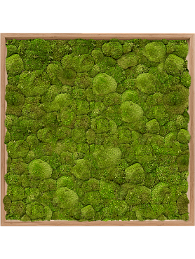 Картина из мха bamboo 100% ball moss