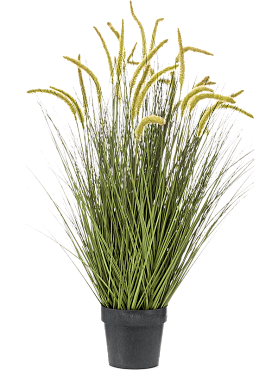 Grass cattail bush (28 fl.)