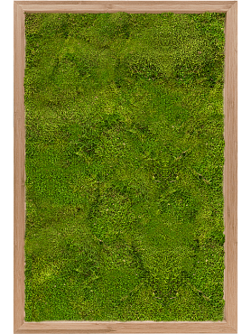 Картина из мха bamboo 100% flat moss
