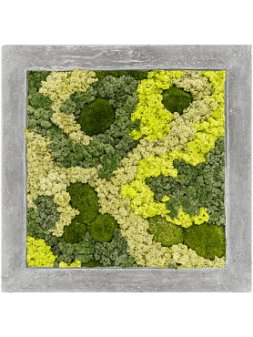 Картина из мха polystone raw grey 30% ball moss 70% reindeer moss mix)