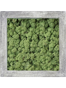 Картина из мха polystone raw grey 100% reindeer moss (moss green)