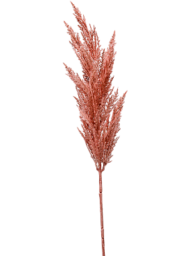 Grass pampas branch pink