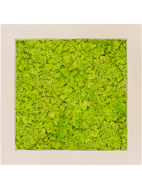 Картина из мха polystone natural 100% reindeer moss (spring green)