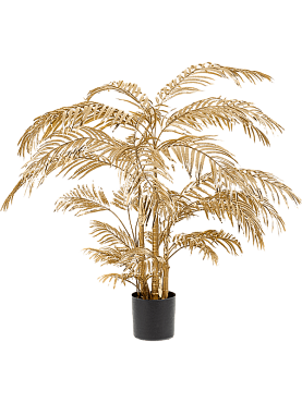 Areca palm bush gold (31 lvs.)