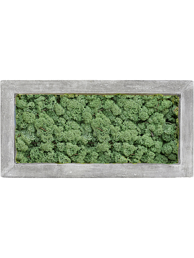 Картина из мха polystone raw grey 100% reindeer moss (moss green)