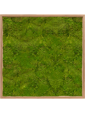Картина из мха bamboo 100% flat moss
