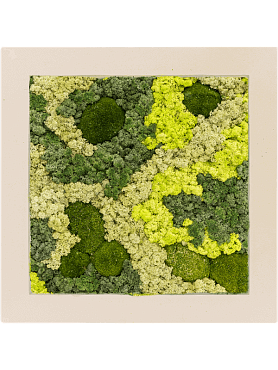 Картина из мха polystone natural 30% ball moss 70% reindeer moss (mix)
