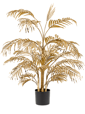 Areca palm bush gold (27 lvs.)