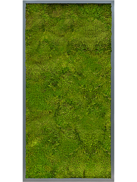 Картина из мха mdf ral 7016 satin gloss 100% flat moss