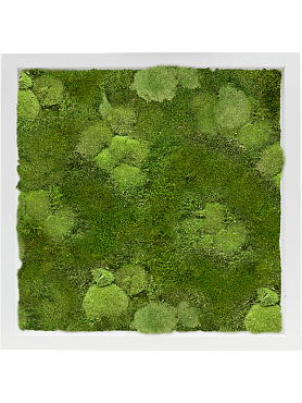 Картина из мха mdf ral 9010 satin gloss 30% ball- and 70% flat moss