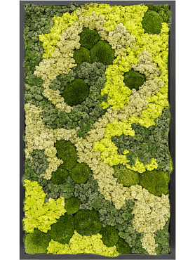Картина из мха mdf ral 9005 satin gloss 30% ball moss 70% reindeer moss (mix)
