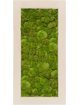Картина из мха natural 100% ball moss