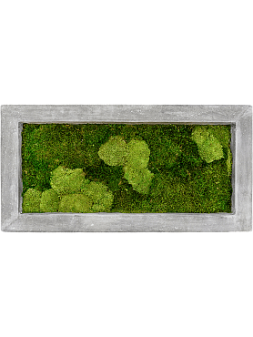 Картина из мха polystone raw grey 30% ball- and 70% flat moss
