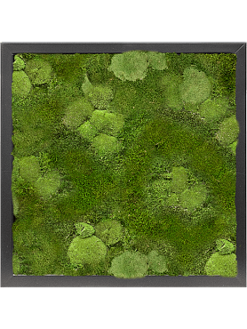 Картина из мха mdf ral 9005 satin gloss 30% ball- and 70% flat moss
