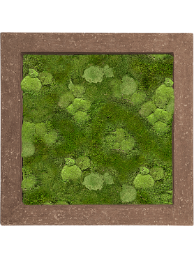 Картина из мха polystone rock 30% ball- and 70% flat moss