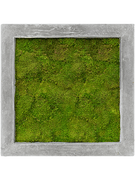 Картина из мха polystone raw grey 100% flat moss