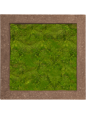 Картина из мха polystone rock 100% flat moss