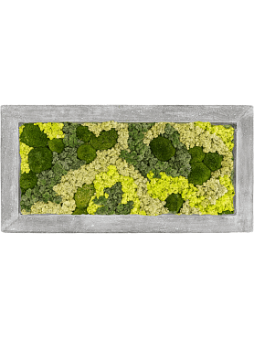 Картина из мха polystone raw grey 30% ball moss 70% reindeer moss (mix)