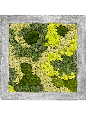 Картина из мха polystone raw grey 30% ball moss 70% reindeer moss (mix)