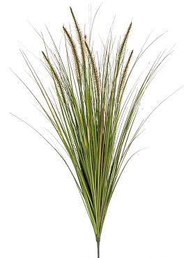 Grass pennisetum tuft (7 fl.)