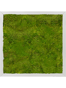 Картина из мха aluminum 100% flat moss