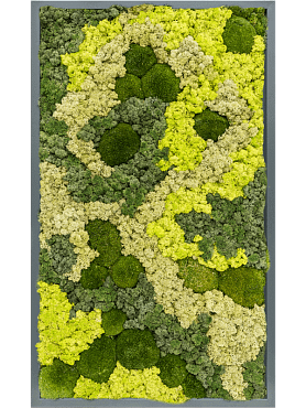 Картина из мха mdf ral 7016 satin gloss 30% ball moss 70% reindeer moss (mix)