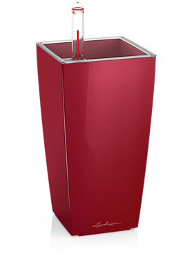 Lechuza mini cubi (8/carton) all inclusive set scarlet red high-gloss