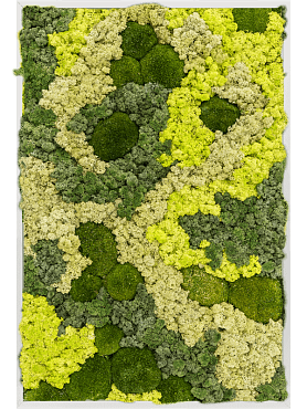 Картина из мха aluminum 30% ball moss 70% reindeer moss (mix)