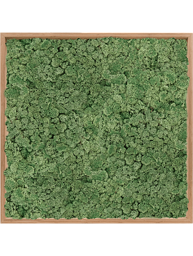Картина из мха bamboo 100% reindeer moss (moss green)