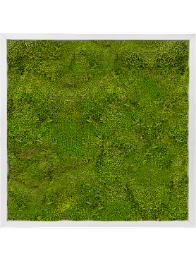 Картина из мха aluminum 100% flat moss