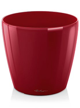 Lechuza classico scarlet red high-gloss