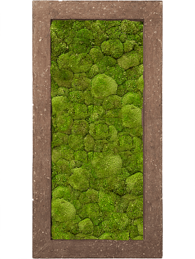 Картина из мха polystone rock 100% ball moss