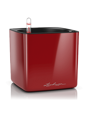Lechuza cube glossy 16 all inclusive set scarlet red high-gloss