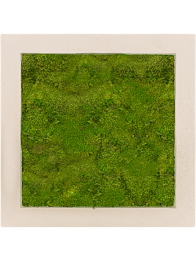 Картина из мха polystone natural 100% flat moss